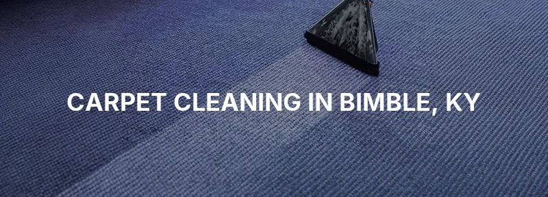 Carpet Cleaning in Bimble, KY