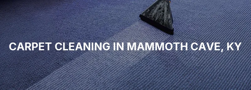 Carpet Cleaning in Mammoth Cave, KY
