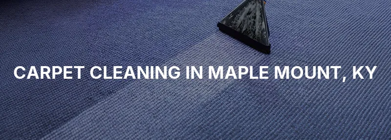 Carpet Cleaning in Maple Mount, KY