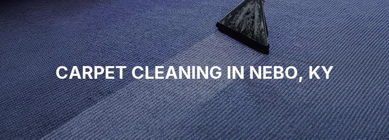 Carpet Cleaning in Nebo, KY