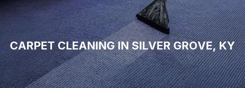 Carpet Cleaning in Silver Grove, KY