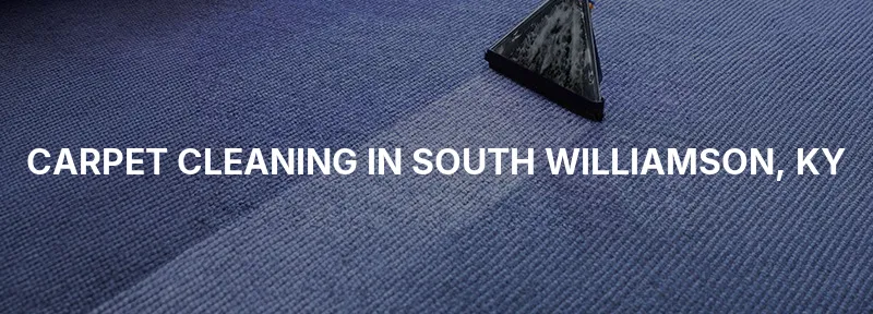 Carpet Cleaning in South Williamson, KY