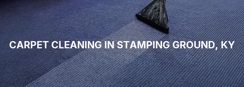 Carpet Cleaning in Stamping Ground, KY