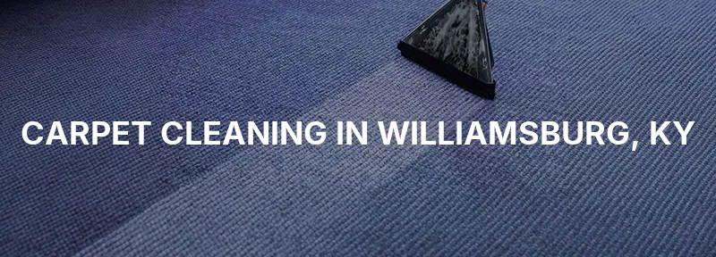 Carpet Cleaning in Williamsburg, KY