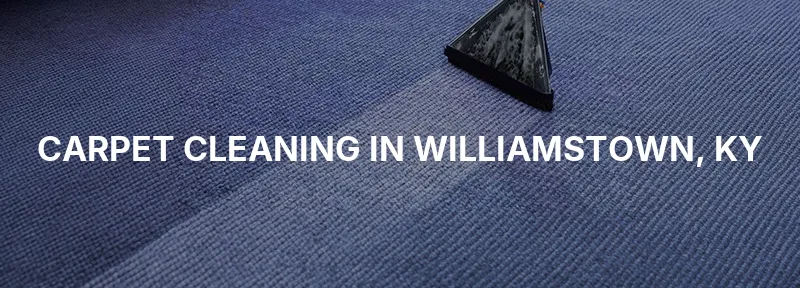 Carpet Cleaning in Williamstown, KY