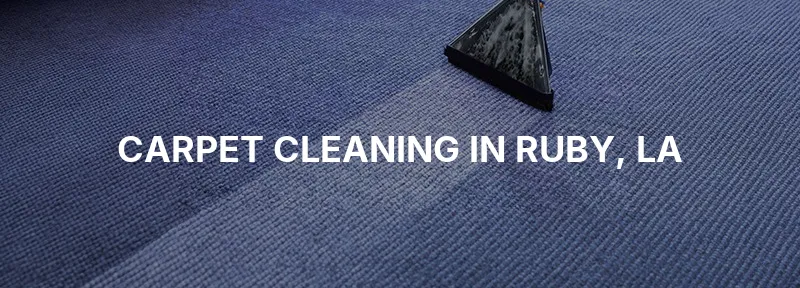 Carpet Cleaning in Ruby, LA