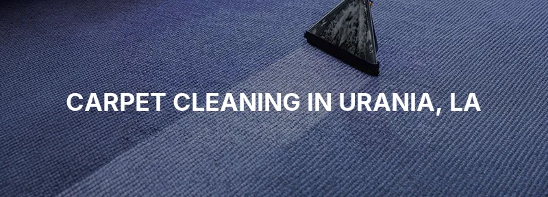 Carpet Cleaning in Urania, LA