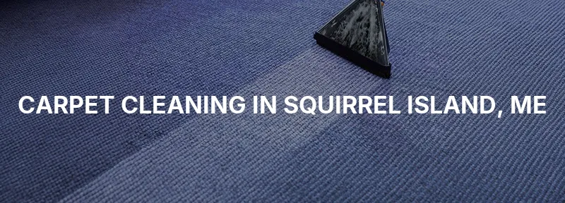 Carpet Cleaning in Squirrel Island, ME