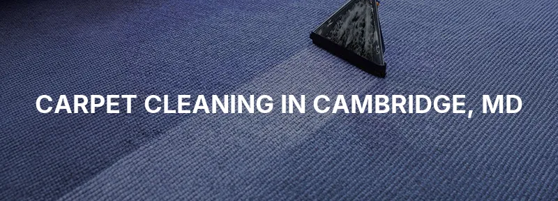 Carpet Cleaning in Cambridge, MD