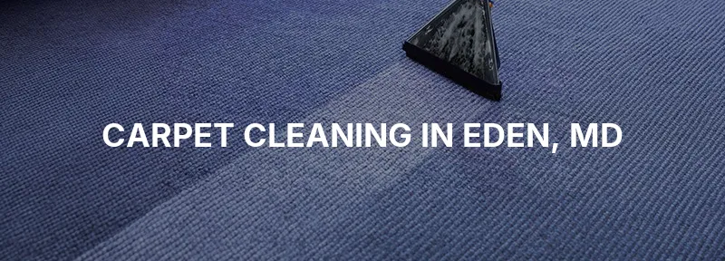 Carpet Cleaning in Eden, MD