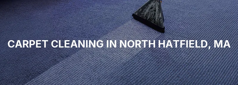 Carpet Cleaning in North Hatfield, MA