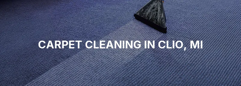 Carpet Cleaning in Clio, MI