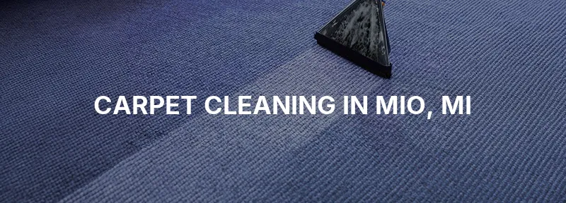 Carpet Cleaning in Mio, MI