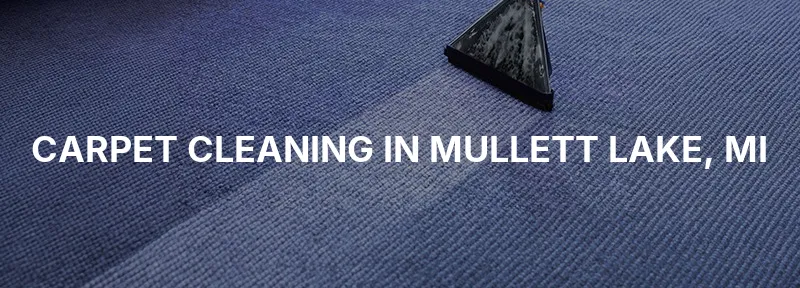 Carpet Cleaning in Mullett Lake, MI