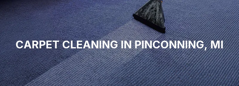 Carpet Cleaning in Pinconning, MI