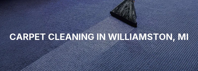 Carpet Cleaning in Williamston, MI