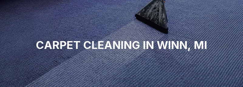 Carpet Cleaning in Winn, MI