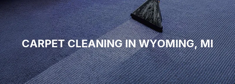 Carpet Cleaning in Wyoming, MI
