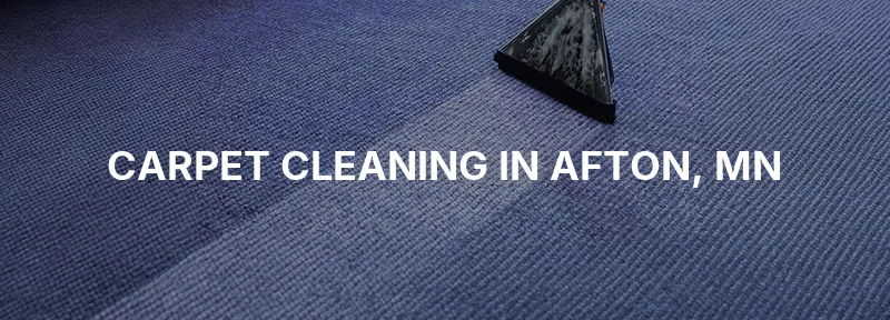 Carpet Cleaning in Afton, MN