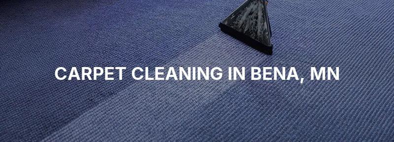 Carpet Cleaning in Bena, MN