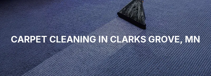 Carpet Cleaning in Clarks Grove, MN