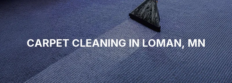 Carpet Cleaning in Loman, MN