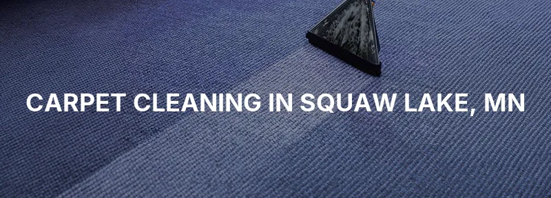 Carpet Cleaning in Squaw Lake, MN