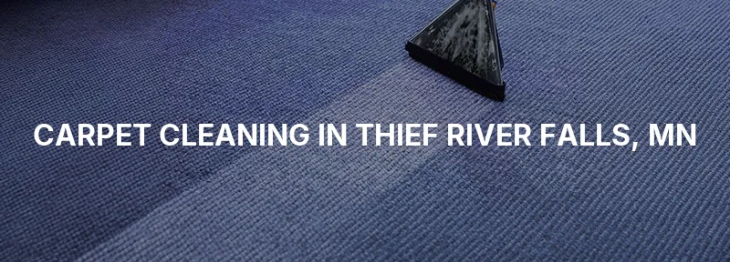 Carpet Cleaning in Thief River Falls, MN