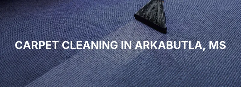 Carpet Cleaning in Arkabutla, MS
