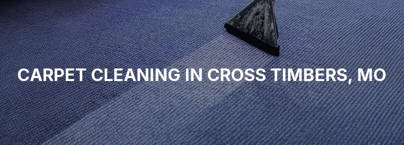 Carpet Cleaning in Cross Timbers, MO