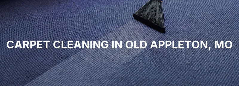Carpet Cleaning in Old Appleton, MO