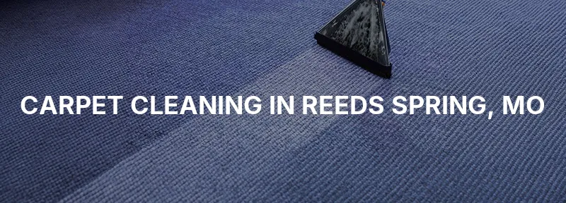 Carpet Cleaning in Reeds Spring, MO