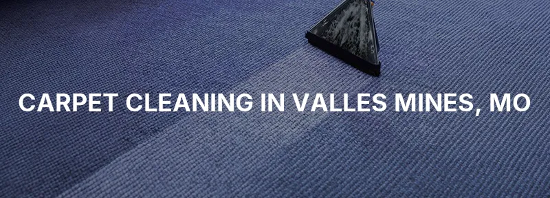 Carpet Cleaning in Valles Mines, MO