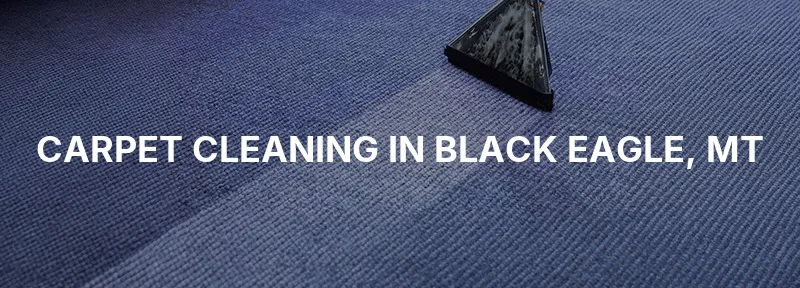 Carpet Cleaning in Black Eagle, MT