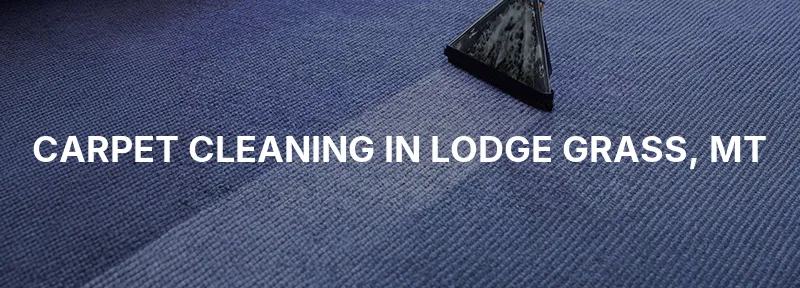 Carpet Cleaning in Lodge Grass, MT