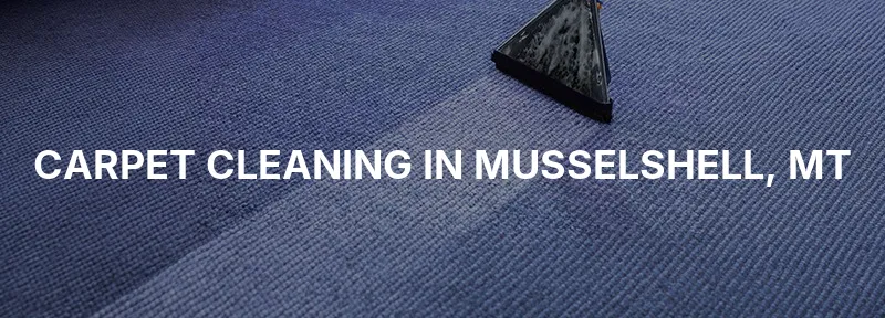 Carpet Cleaning in Musselshell, MT