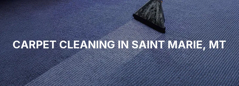 Carpet Cleaning in Saint Marie, MT