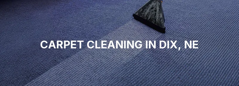 Carpet Cleaning in Dix, NE