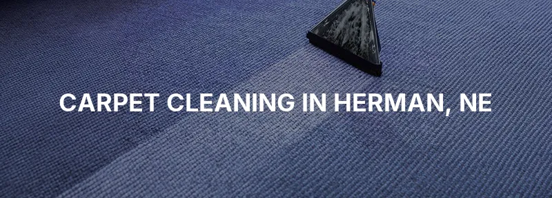 Carpet Cleaning in Herman, NE