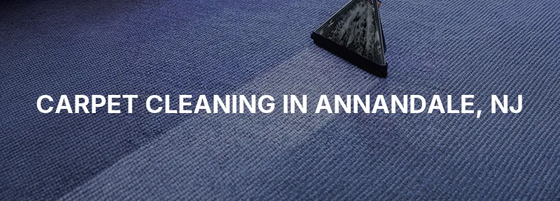 Carpet Cleaning in Annandale, NJ