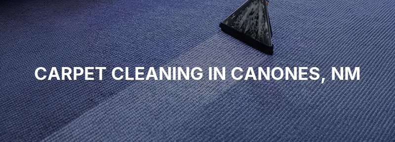 Carpet Cleaning in Canones, NM