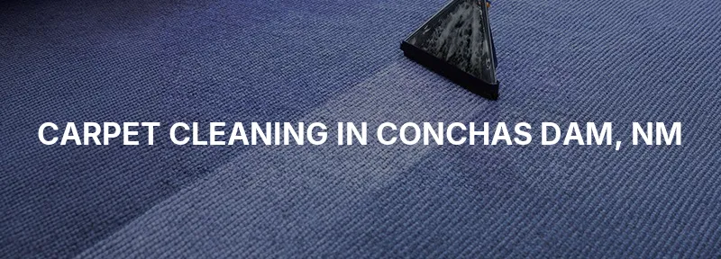 Carpet Cleaning in Conchas Dam, NM