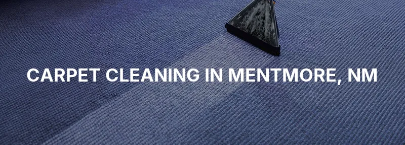 Carpet Cleaning in Mentmore, NM