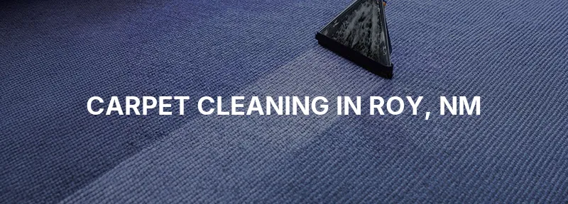 Carpet Cleaning in Roy, NM