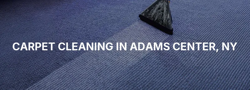Carpet Cleaning in Adams Center, NY