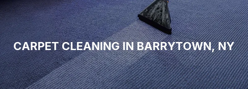 Carpet Cleaning in Barrytown, NY
