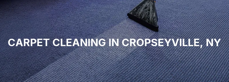 Carpet Cleaning in Cropseyville, NY