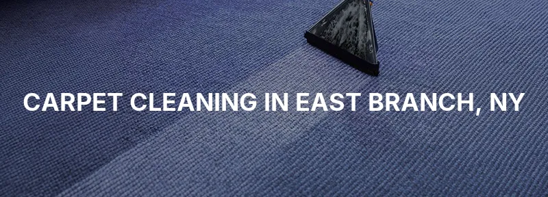 Carpet Cleaning in East Branch, NY