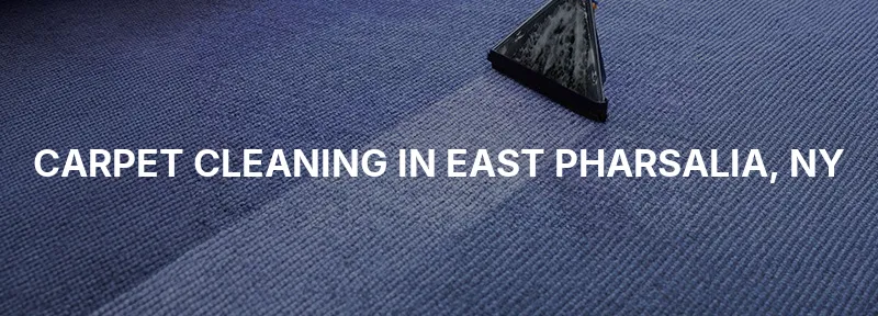 Carpet Cleaning in East Pharsalia, NY