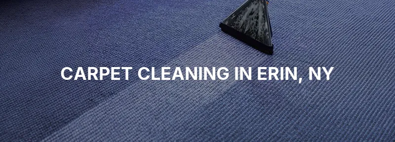 Carpet Cleaning in Erin, NY